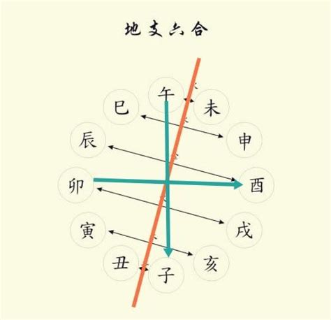 巳寅|十二地支解析：巳 巳与其他十二地支的关系